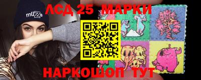 гидра Камышлов