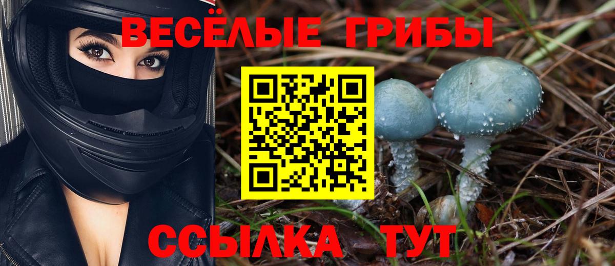 Комсомольск-на-Амуре  Псилоцибиновые грибы Cubensis  Вход с VPN 